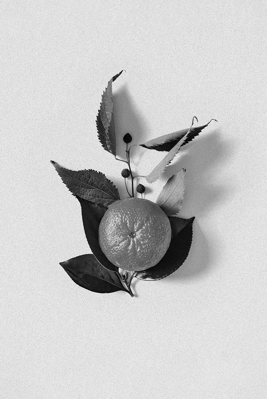 Satsuma Orange