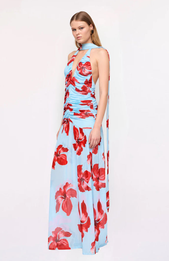 Chloe Floral Halter Maxi Dress