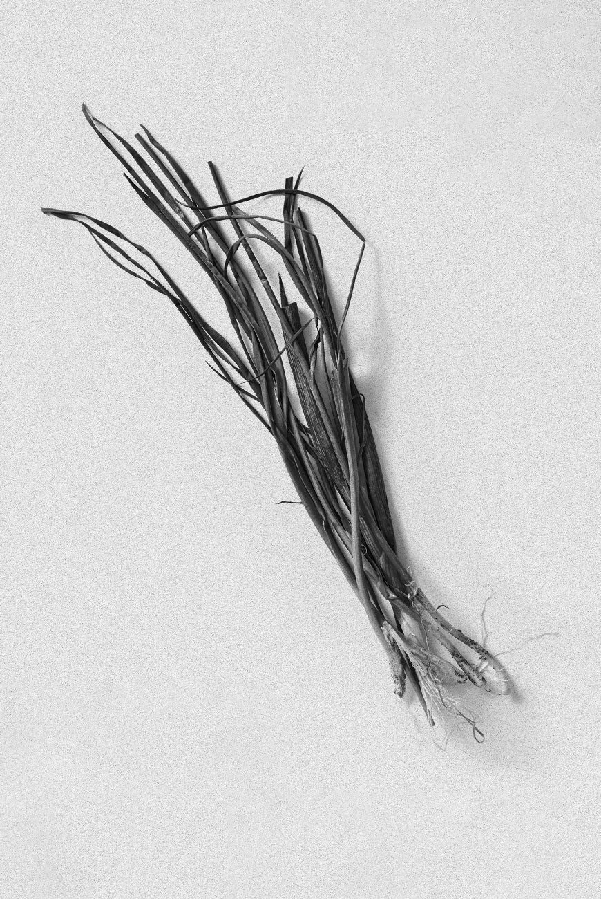 Vetiver RoomSpray