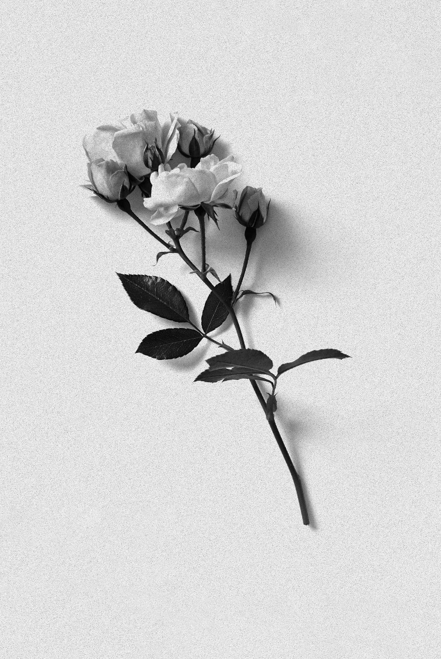 Rosewater