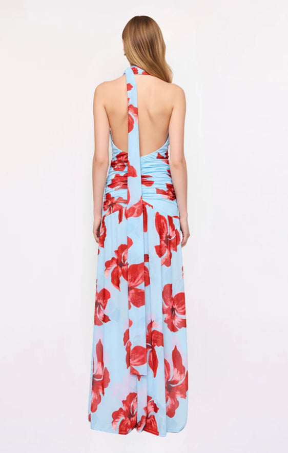 Chloe Floral Halter Maxi Dress