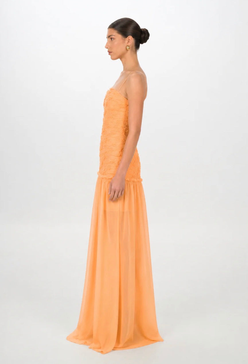 Renata | Apricot