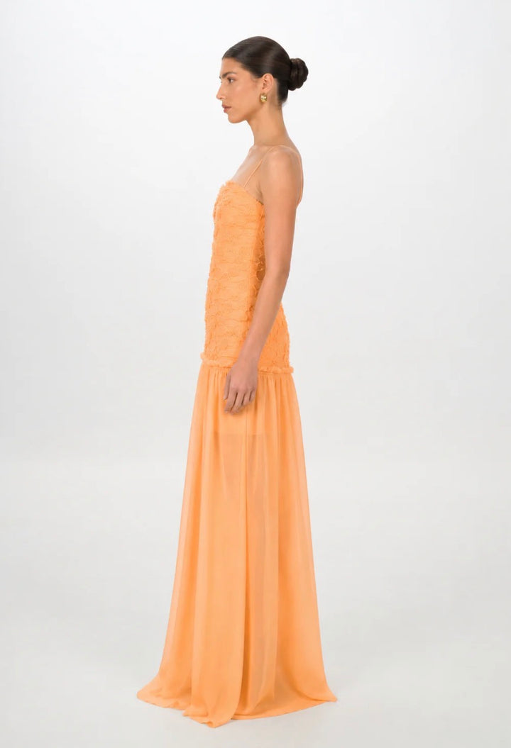 Renata | Apricot