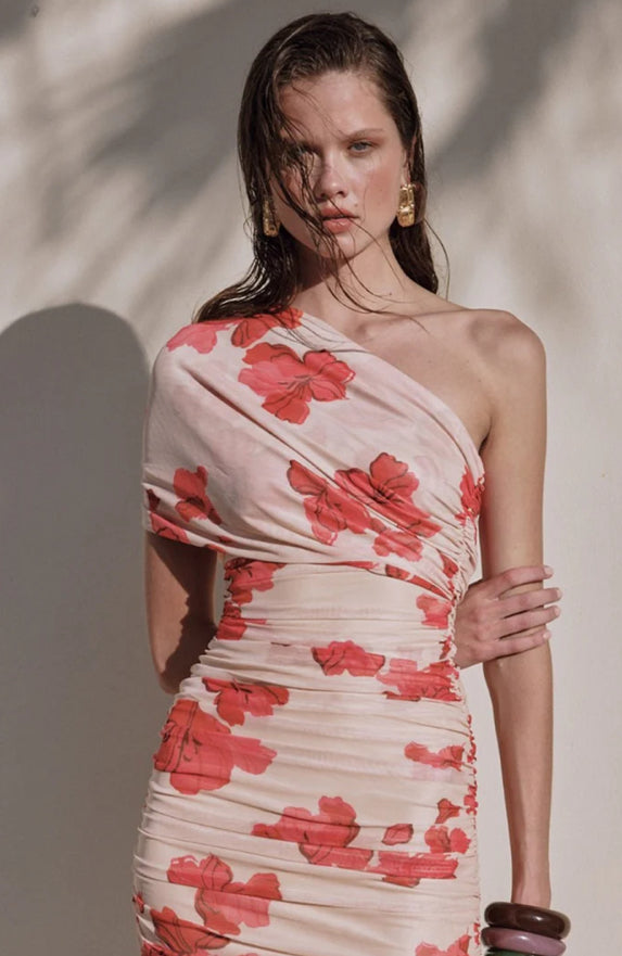 Suzie Floral Mesh Maxi Dress