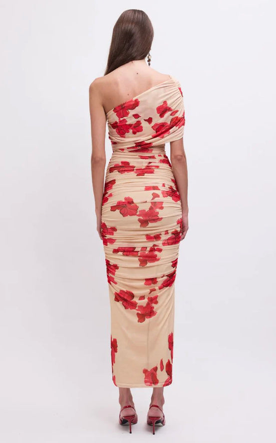 Suzie Floral Mesh Maxi Dress