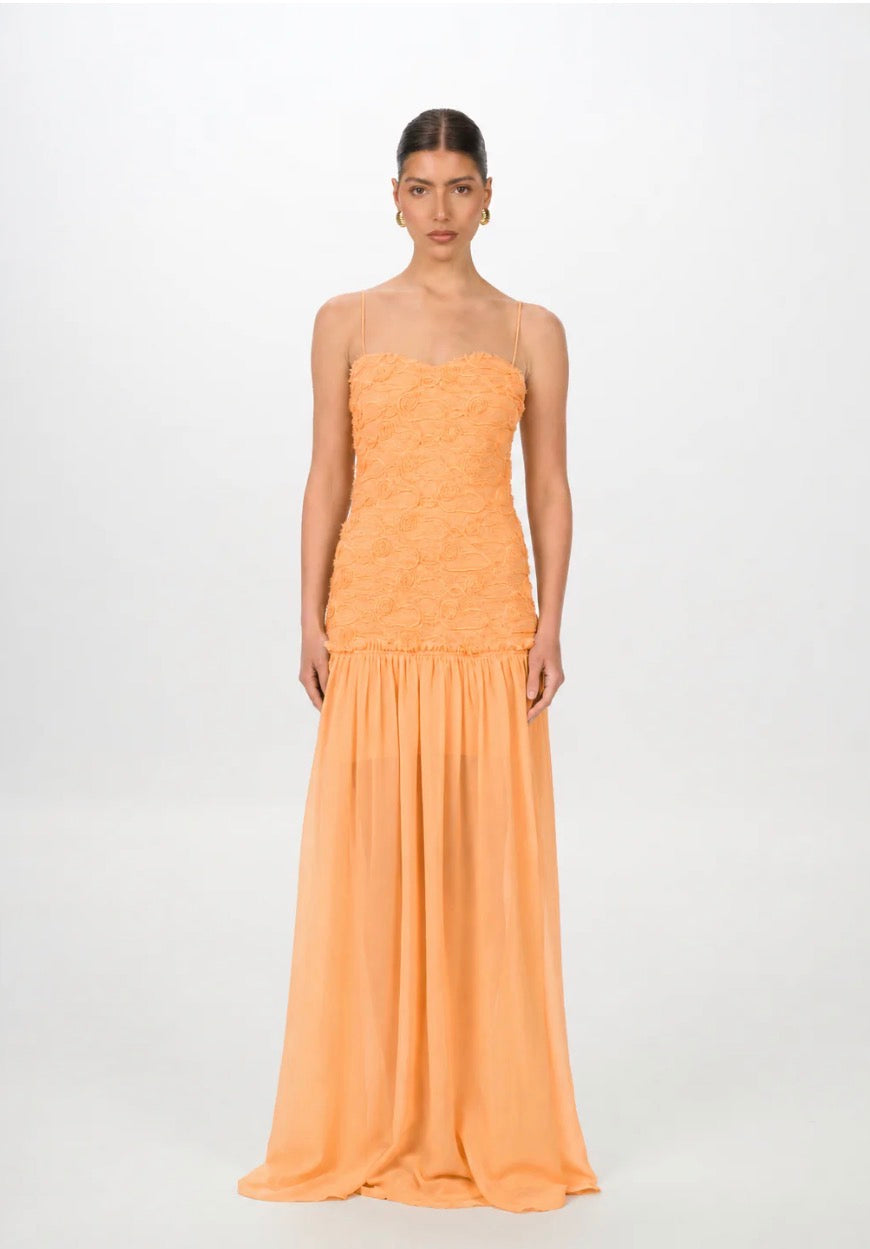 Renata | Apricot