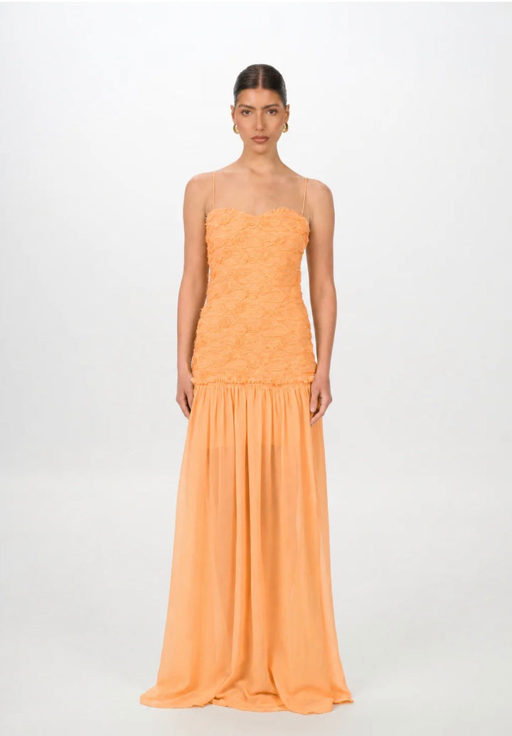 Renata | Apricot