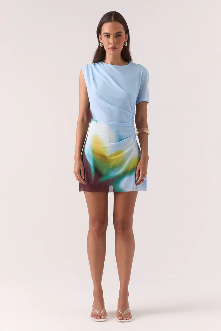 Zinnia Mesh Mini Dress