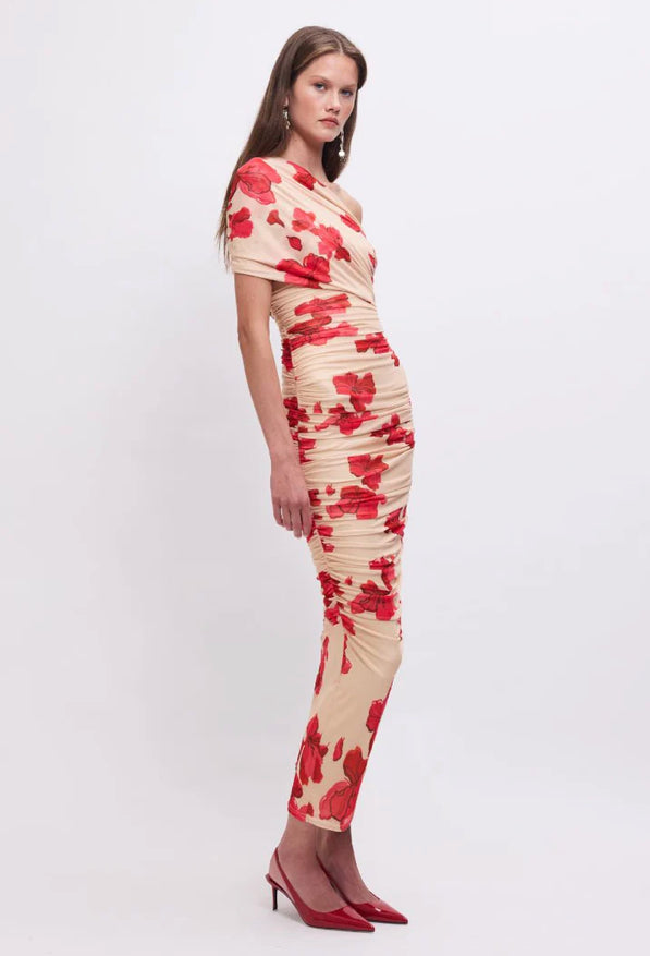 Suzie Floral Mesh Maxi Dress