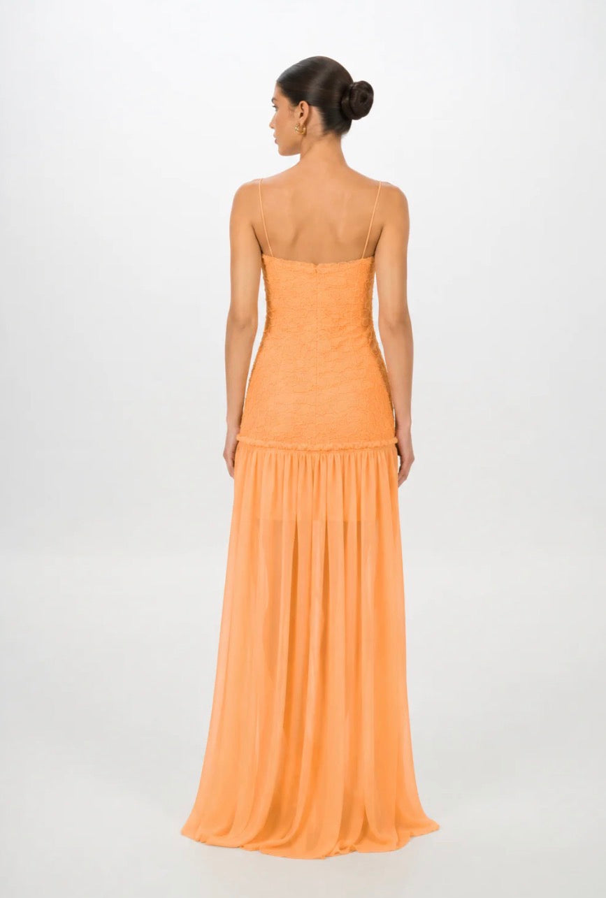 Renata | Apricot