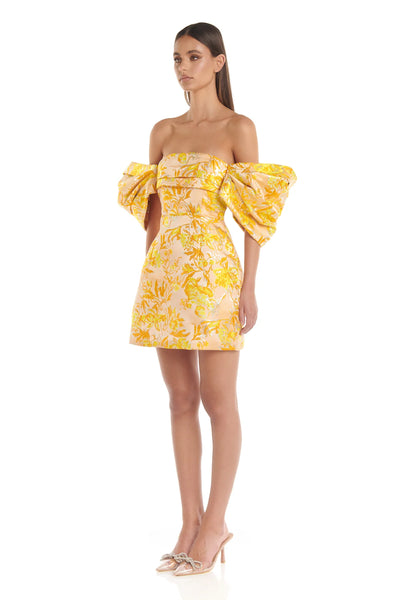 Raquel Dress